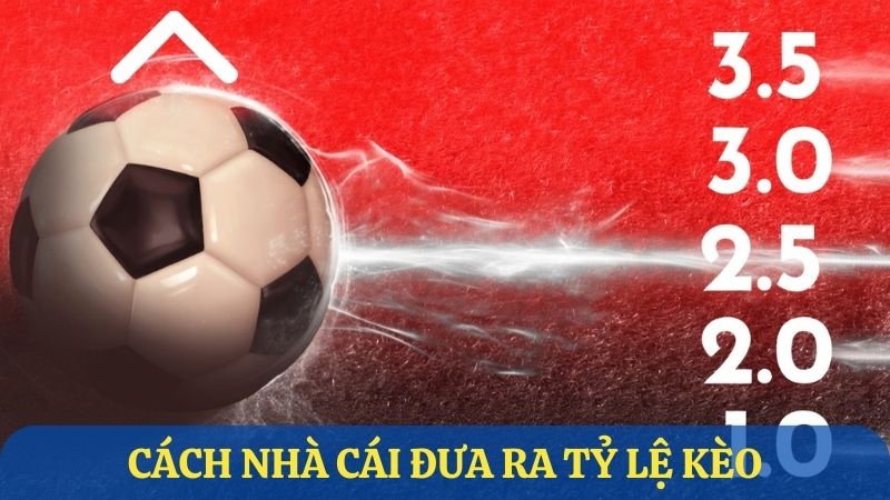 Cách nhà cái đưa ra tỷ lệ kèo